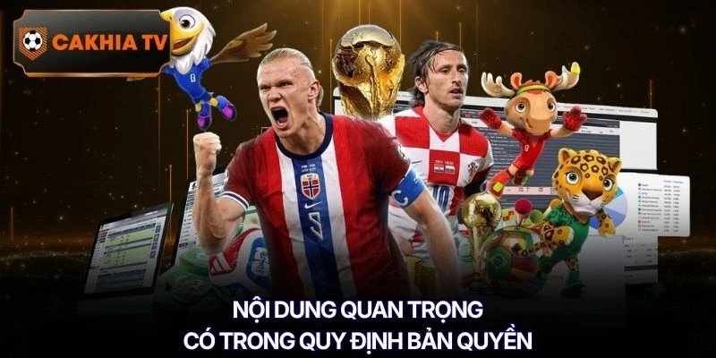 Nội dung quan trọng có trong quy định bản quyền