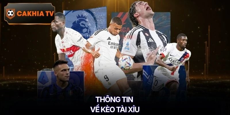 Thông tin về kèo Tài Xỉu